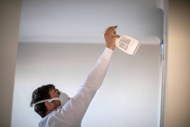 Best Post-Flood Mold Remediation in Lake Dalecarlia, IN